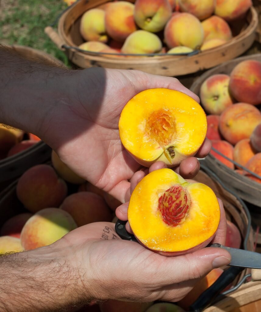 The Best Month for Enjoying Peaches