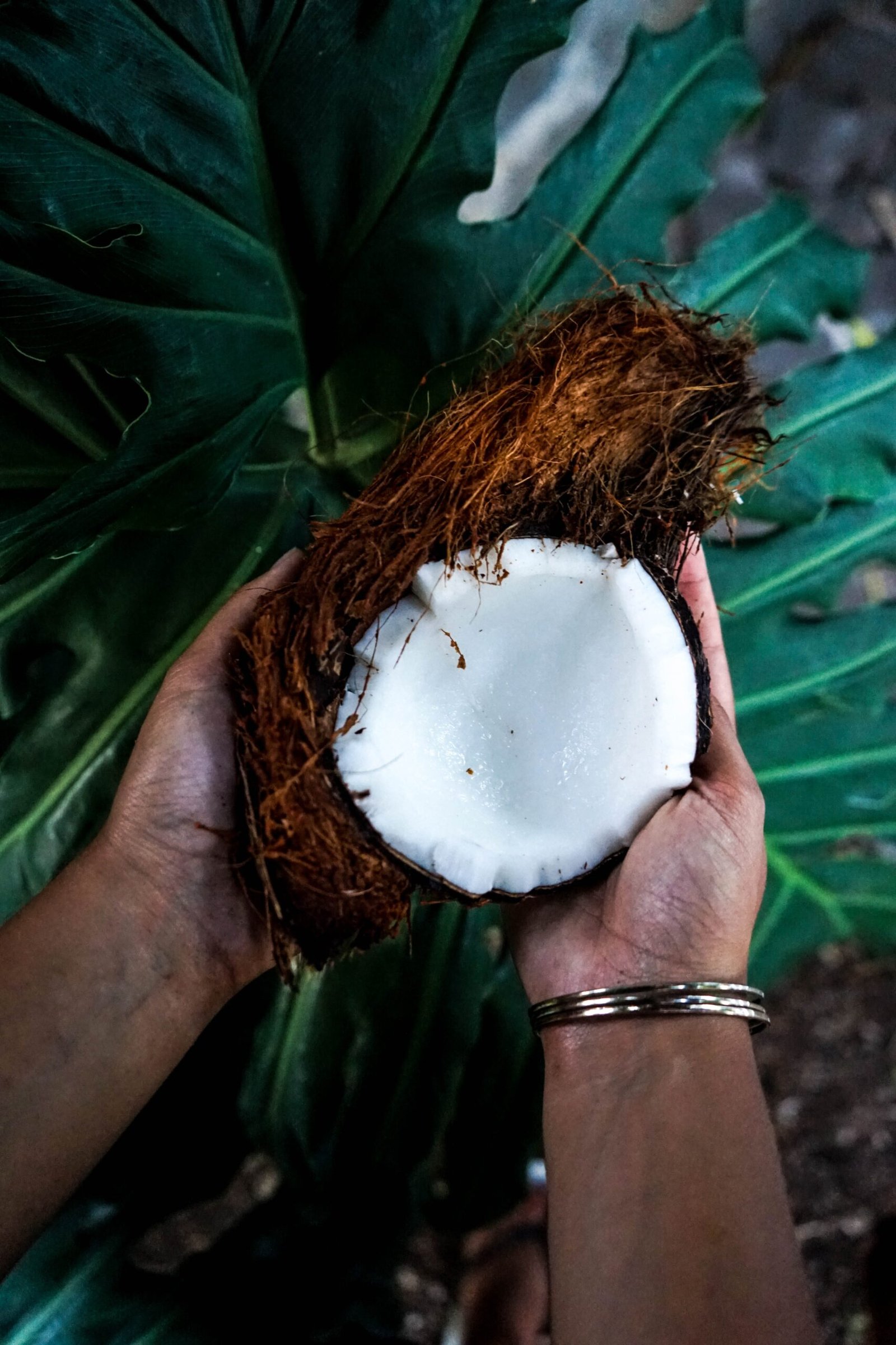Benefits Of Double Coconut